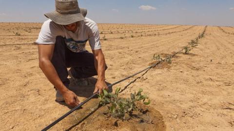 راه حل های یک کارشناس اسرائیلی برای حل بحران آب در ایران