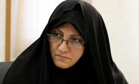 یک نماینده مجلس: قانون اجازه همسر برای سفر خانم‌ها می‌تواند اصلاح شود