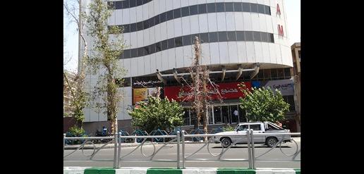 قتل عام چنارهای ولیعصر با مترو
