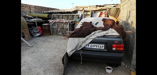 Crackdown on Illegal Immigrants in Isfahan