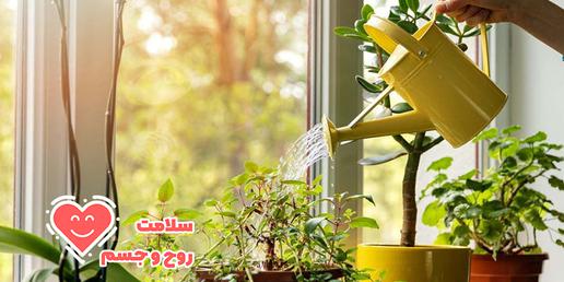 ۷ دلیل علمی برای نگه‌داری گل و گیاه در خانه