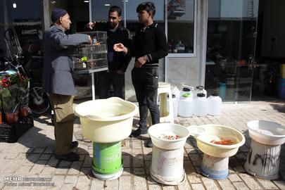 Nowruz is Almost Here