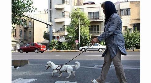 Dog-walking is forbidden on the street in Tehran and police have announced a crackdown on the practice in public