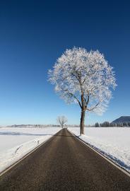 Bavaria, Germany