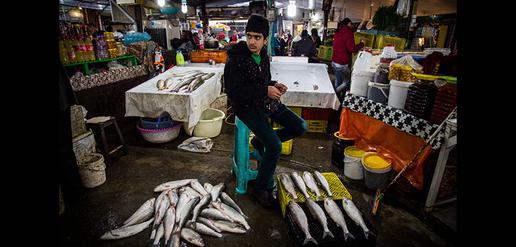 A view of daily life in Iran