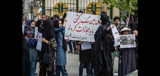 "Those responsible for killing dogs in Shiraz must be punished"