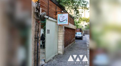 کافه‌نشینی با میزبانی گربه‌ها