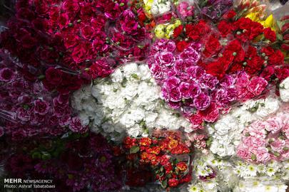 Nowruz is Almost Here