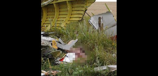 خانواده قربانیان پرواز MH17 مالزی