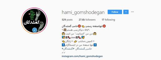پیش از شکل گیری حامی گم شدگان، هیچ صفحه مشخصی در فضای مجازی برای پی گیری وضعیت آن‌ها وجود نداشت.