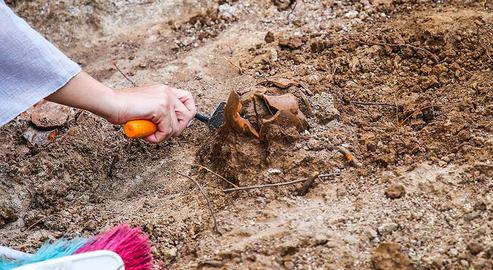 Hidden Treasures Unearthed on Ancient Babol Hill