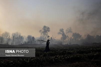 Huge Forest Fire Extinguished in Khuzestan