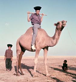 Peace Corps Memories: “Tom of Iran”