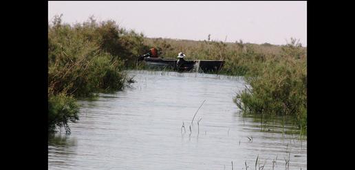Sistanis Struggle as Drought Empties Lake Hamoun