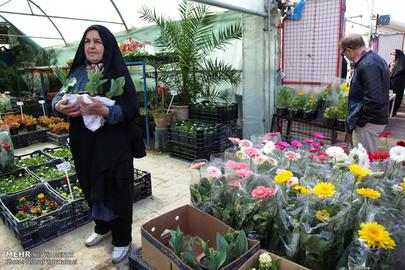 Nowruz is Almost Here