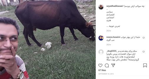 سرانجام اعلام جرم علیه خبرنگاری که با گاو عکس سلفی گرفت