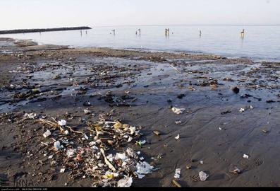 ۶۶ درصد از ماهیان دریای خزر پلاستیک بلعیده‌اند