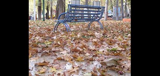 An Almighty Autumn in Ilam