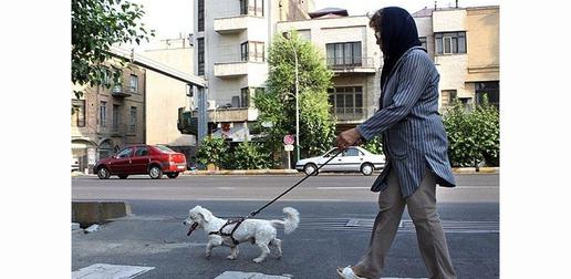 از خاطرات ارزشی‌ها تا هفت‌تیرکشی در خیابان؛ روزگار سخت سگ‌های خانگی