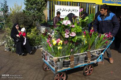 Nowruz is Almost Here