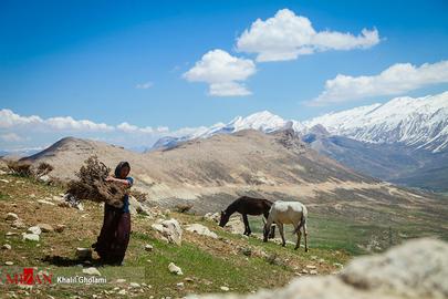 Women's Lives in Rural Iran