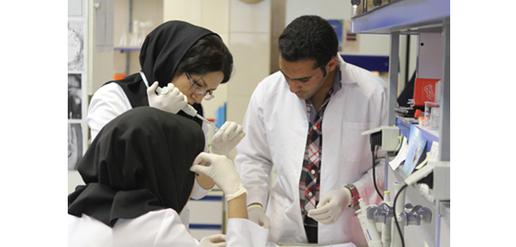 Molecular biology class, Royan Institute