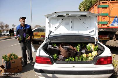Nowruz is Almost Here