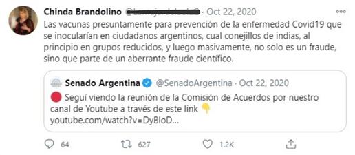 Dr. Chinda Brandolino, the Far Right and Disinformation in Argentina