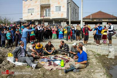 Celebrating the Rice Harvest in Gilan