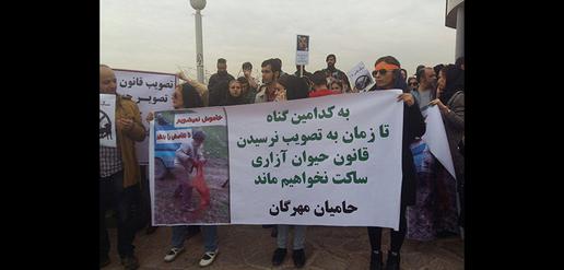 Speaking out Against Animal Cruelty