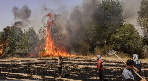 Wildfires continue in part of Karkheh Forest in Khuzestan province’s Shush county for the fourth day in a row