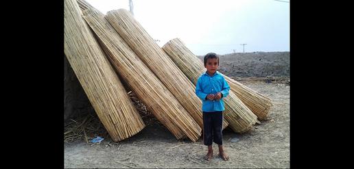 Sistanis Struggle as Drought Empties Lake Hamoun
