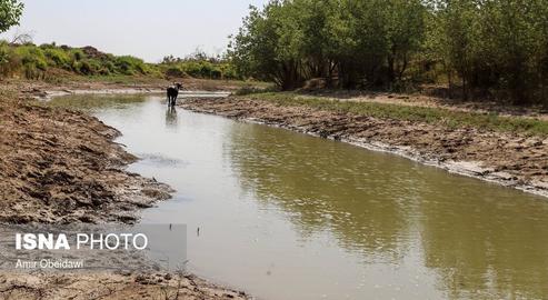 این هفته هزاران نفر از ساکنان خوزستان که سوء مدیریت‌ مقامات را دلیل اصلی کمبود آب در این منطقه می‌دانند، دست به اعتراض زده‌اند