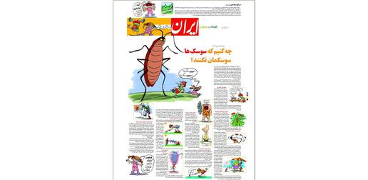 روزنامه ایران در ویژه‌نامه روزهای جمعه‌ خود در ۲۲اردیبهشت۱۳۸۵ و در صفحهٔ «کودک و نوجوان»، کمیک‌استریپی با عنوان «چه کنیم که سوسک‌ها سوسکمان نکنند» منتشر کرد