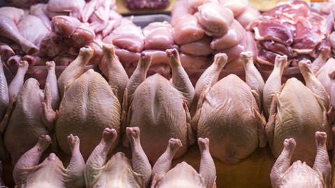 افزایش قیمت مرغ؛ نه مردم راضی هستند و نه مرغداران