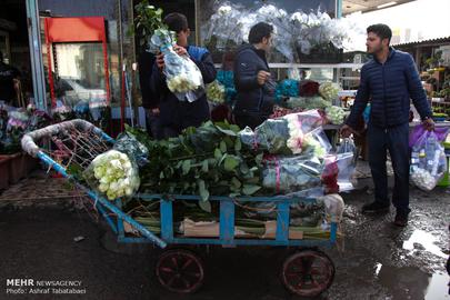 Nowruz is Almost Here
