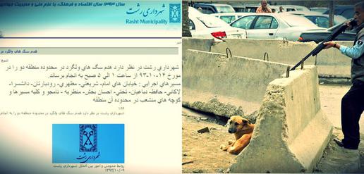 Officials Order “Destruction” of Stray Dogs in Rasht