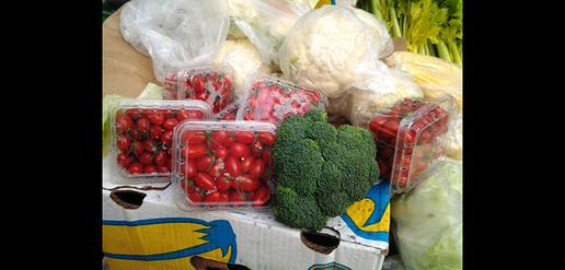 Rouhani Attacked For Surge in Tomato Prices