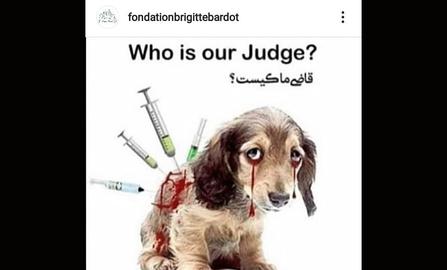 In 2008, Brigitte Bardot objected to Muslims in France and their ritual slaughter of sheep without first anesthetizing them