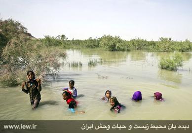 اما و اگرهای احیای تالاب هامون در گفت و گو با دو کارشناس