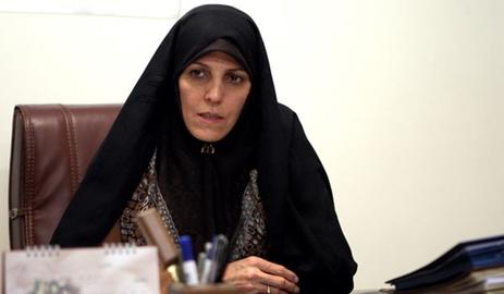 Vice President for Women and Women's Affairs Shahindokht Molaverdi invited Zakka to speak at a conference in Iran in autumn 2015