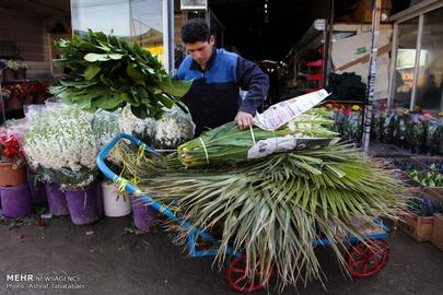 Nowruz is Almost Here