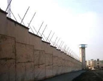 Prison Break, Iranian Style: The Ingenious Escape of Mr. M