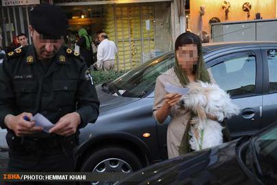 شورای شهر کرمان تصویب کرد: 50 هزار تومان جریمه برای نگه‎داری سگ در خانه