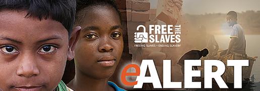 Founded in 2000, Free the Slaves has developed a blueprint for change to inform governments, international institutions, faith communities, businesses and the public about modern slavery