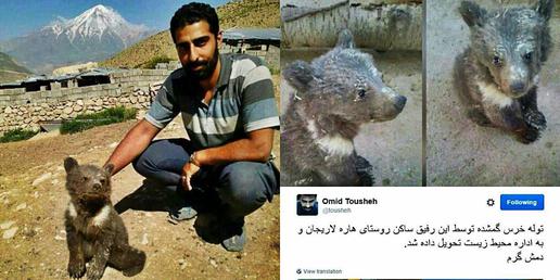 جوان مازندرانی توله خرس گم شده را از خطر نجات داد 