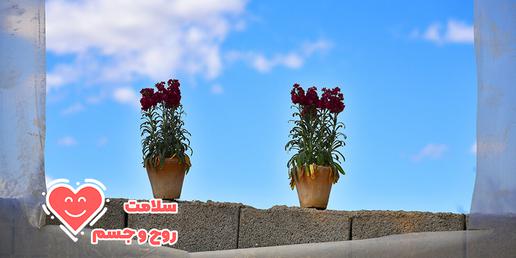 برای افرادی که نشانه‌های بیماری‌های روانی دارند، گلکاری در داخل آپارتمان مفید است و از شدت علائم آن‌ها می‌کاهد.