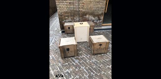 کافه آرگو فضای باحال و صمیمی‌ای دارد و سورپرایز ماجرا آبجو یا ماءالشعیر‌های بدون الکل این کافه است.