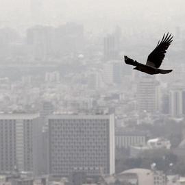 Air pollution in 10 Iranian cities has risen to a dangerous level, aggravating the danger to high-risk groups including the elderly, pregnant women and people with underlying health conditions
