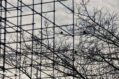 Urban Degradation and "Visual Pollution" in Iran